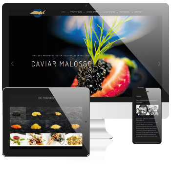 webdesign Salzburg Internetagentur